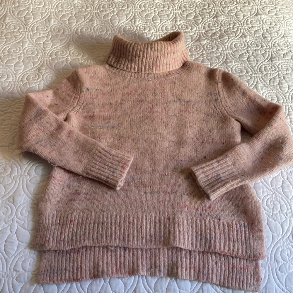Banana Republic Turtle Neck Sweater